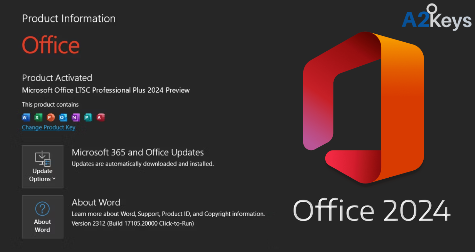 Microsoft Office 2024 Professional Plus